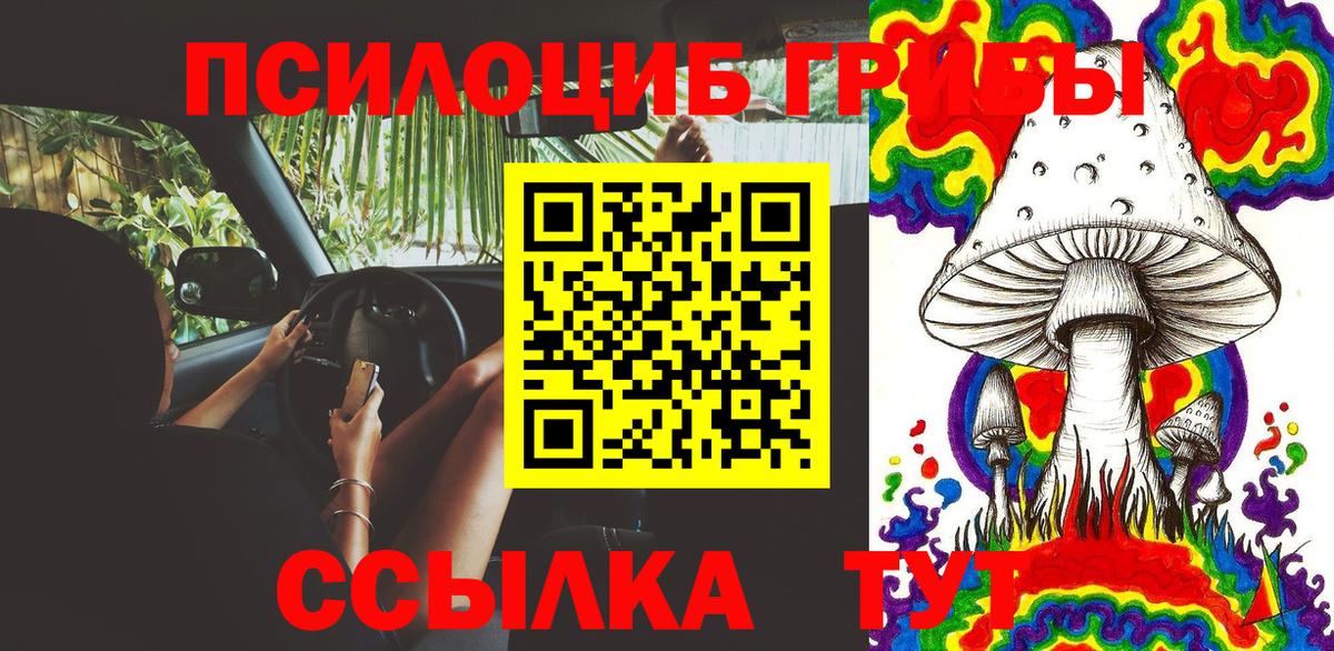 Псилоцибиновые грибы прущие грибы Лабинск