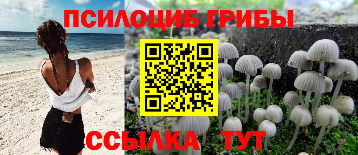 Лабинск  Галлюциногенные грибы GOLDEN TEACHER  цена   Вход с VPN 
